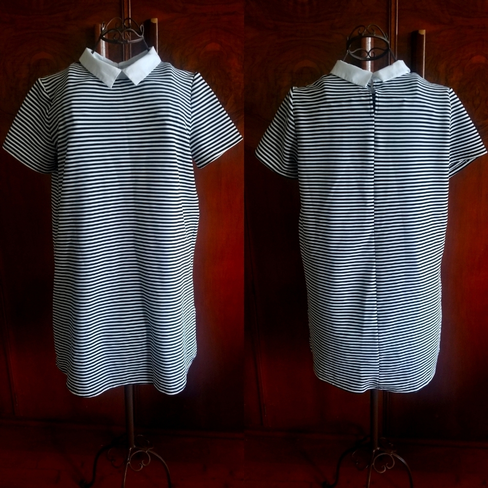 Zara Dress